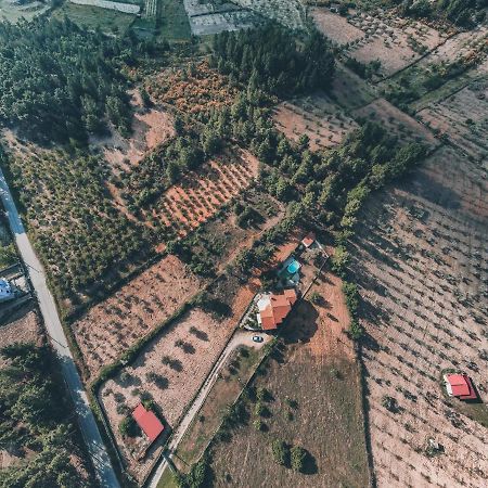 Lugar Dos Vales-Memoravel, Encantador E Autentico! Mirandela Bagian luar foto